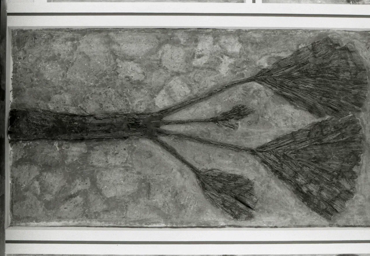 Museo di Storia Naturale