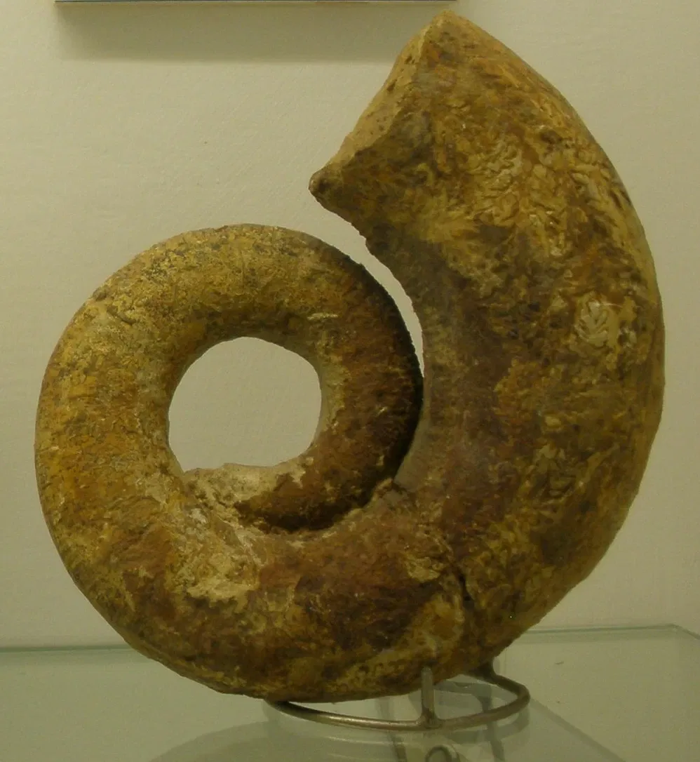 Museo di Storia Naturale