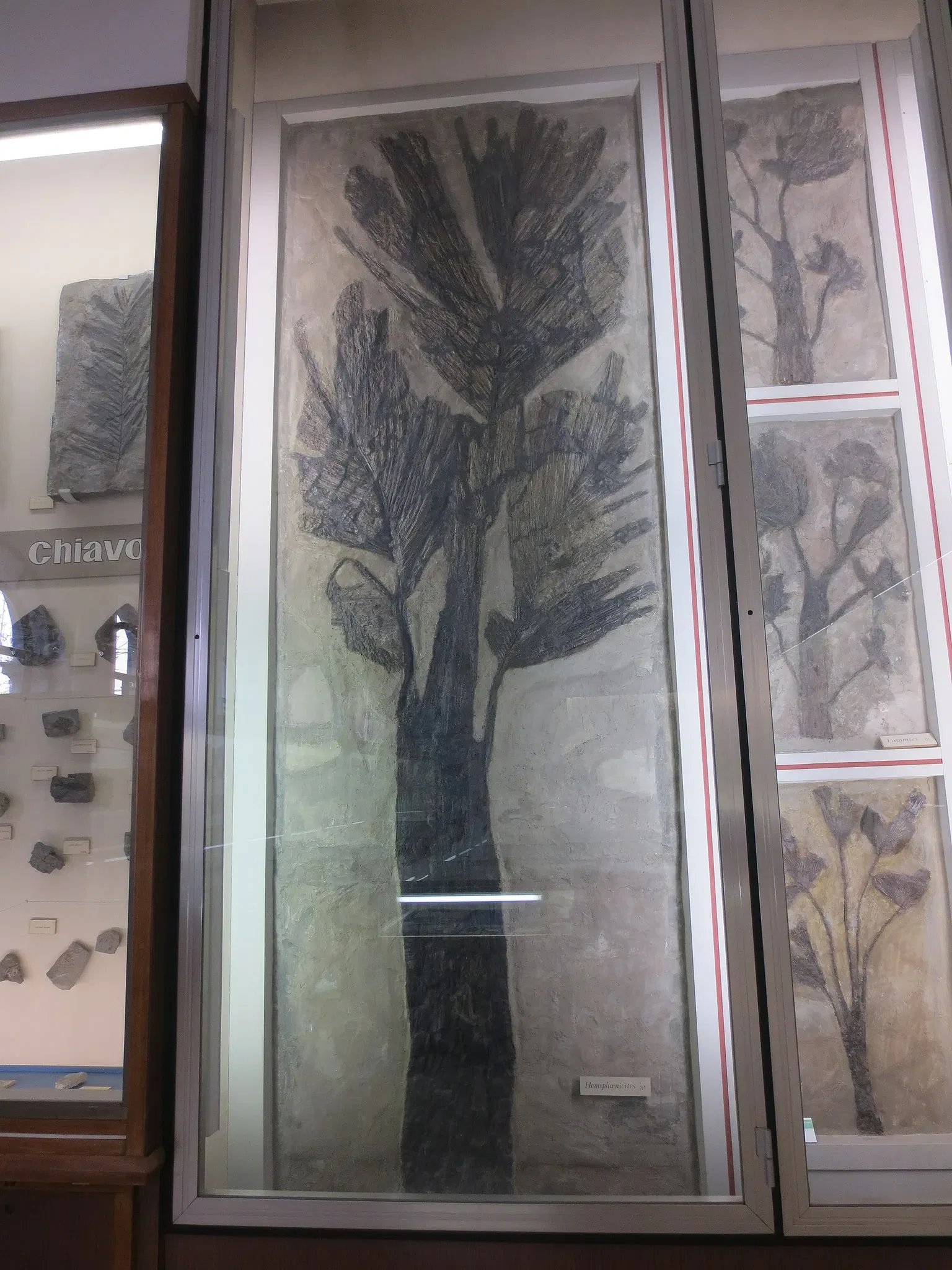 Museo di Storia Naturale