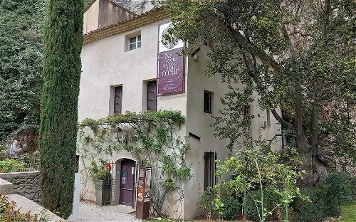 Musée-Bibliothèque François Pétrarque