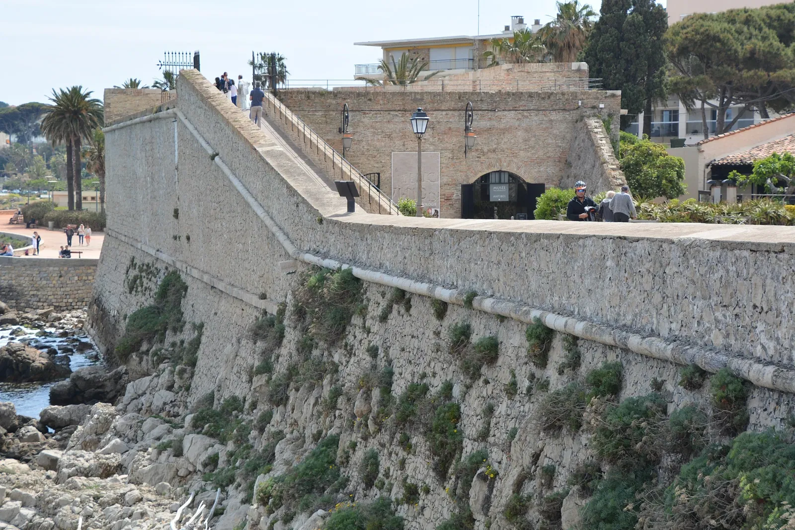 Musée d'Archéologie