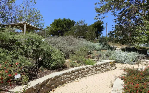 Manhattan Beach Botanical Garden