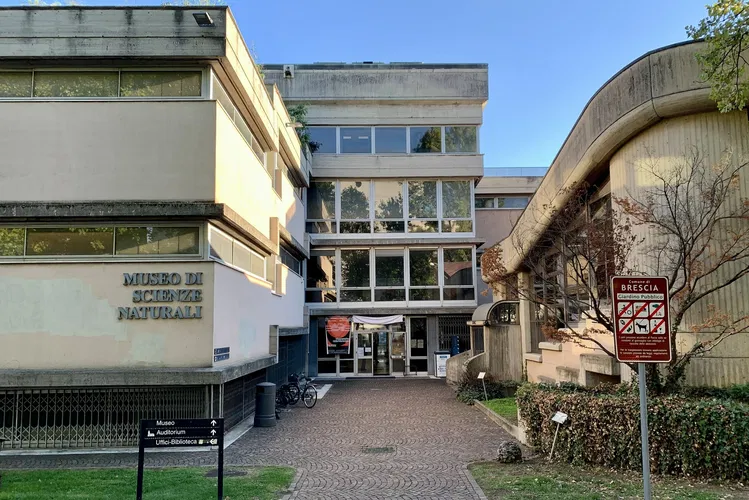 Museo Scienze Naturali Brescia