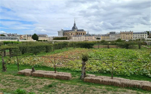 King's Kitchen Garden