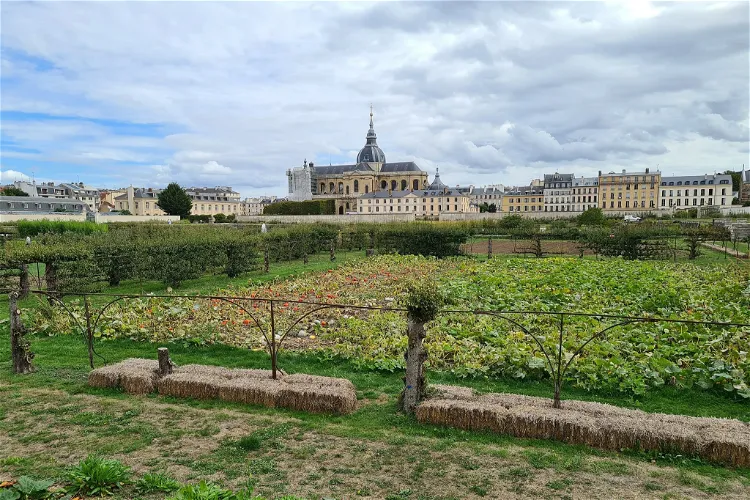 King's Kitchen Garden
