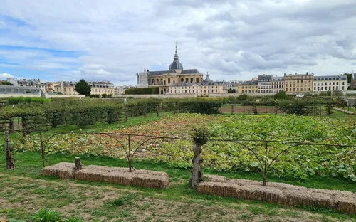 Potager du Roi
