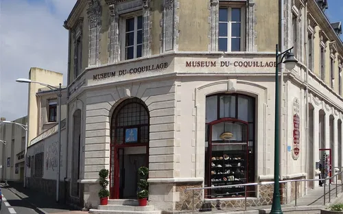 Muséum du Coquillage