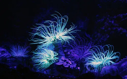 Aquarium de Biarritz