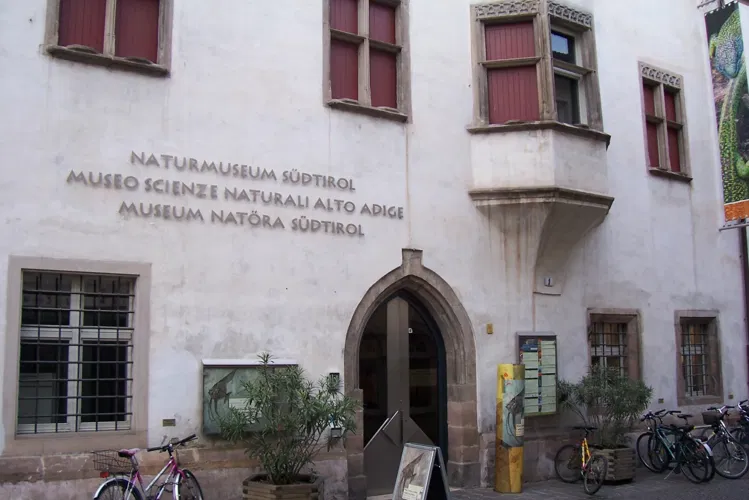 Museo di Scienze Naturali dell'Alto Adige a Bolzano