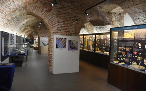 Museo Paleontologico Territoriale dell'Astigiano