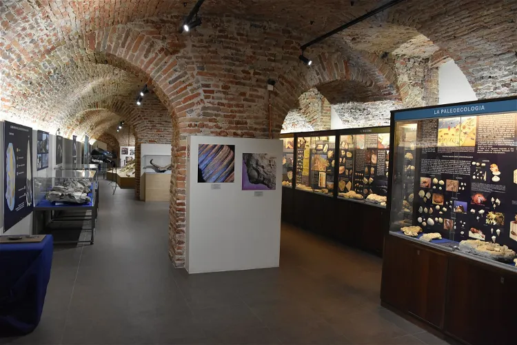 Museo Paleontologico Territoriale dell'Astigiano