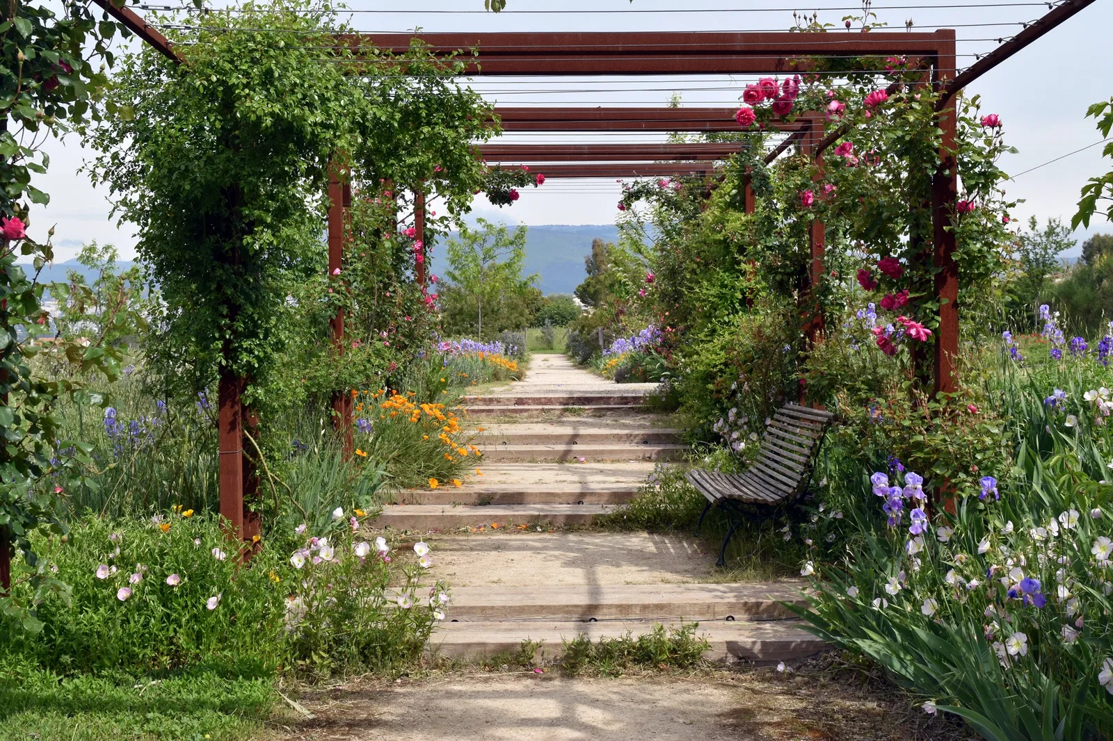 Jardins du Musée International de la Parfumerie