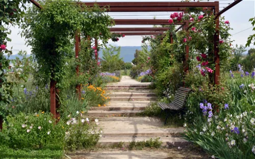 Jardins du Musée International de la Parfumerie