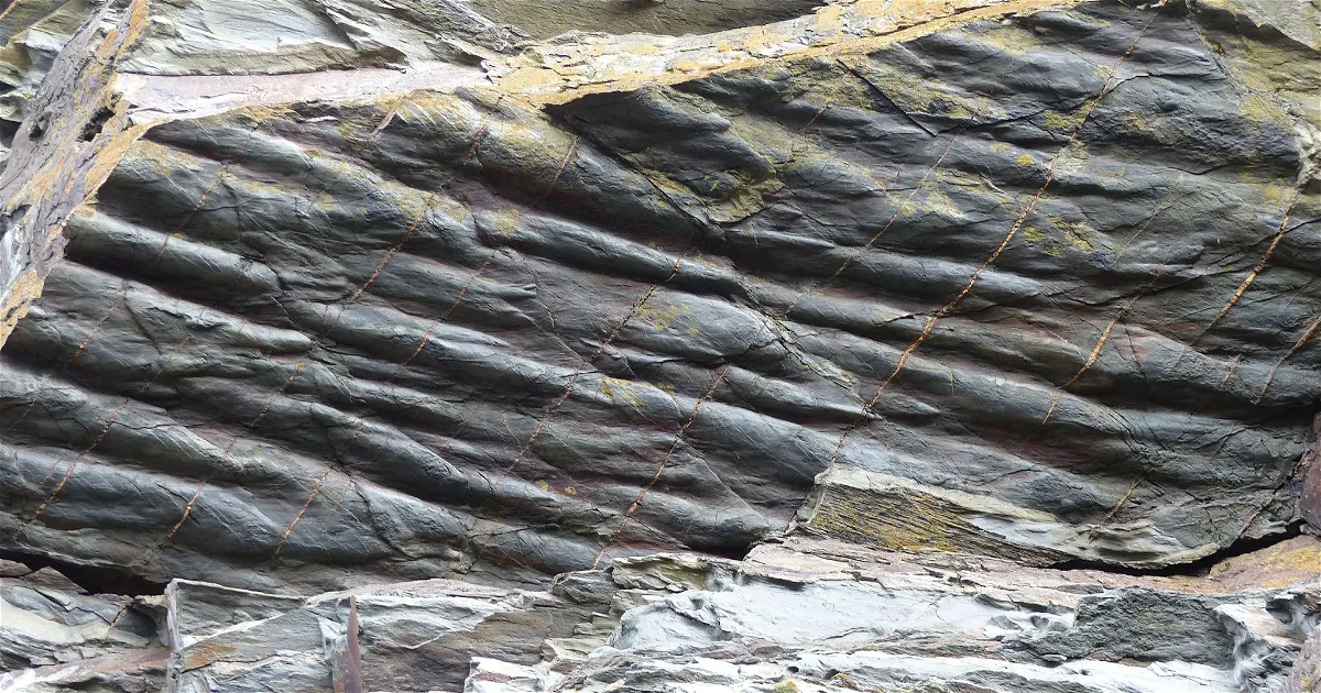 Argol: Discover all 2+ Museums, Exhibitions & Discounts