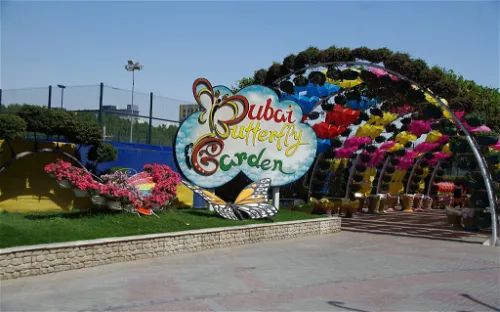 Dubai Butterfly Garden