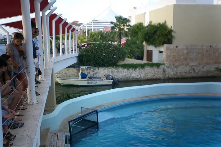 Acuario Interactivo Cancún
