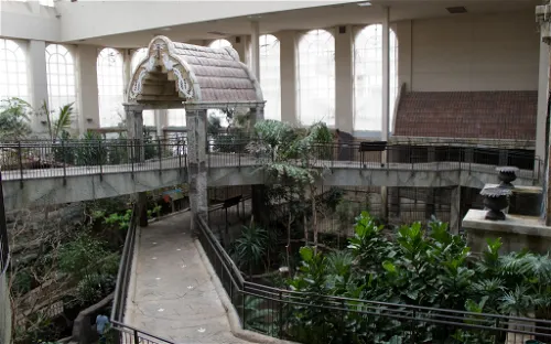 Bird Kingdom Niagara Falls