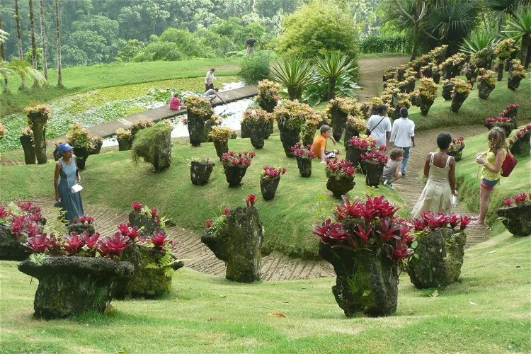 Balata Garden