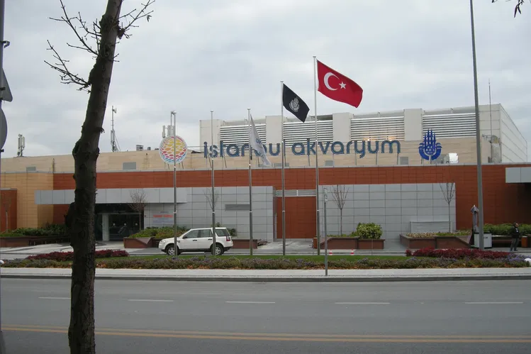 Aquarium d'Istanbul