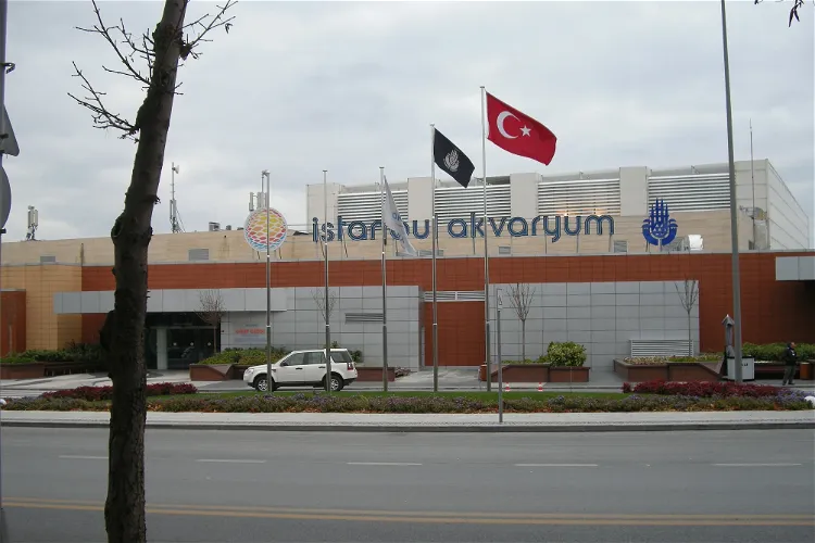 Istanbul Aquarium