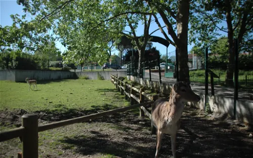 Parc Animalier René Canivenc