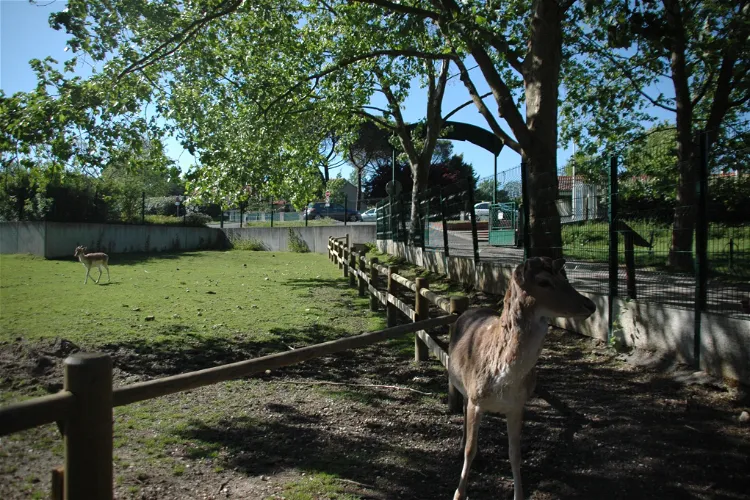 Parc Animalier René Canivenc