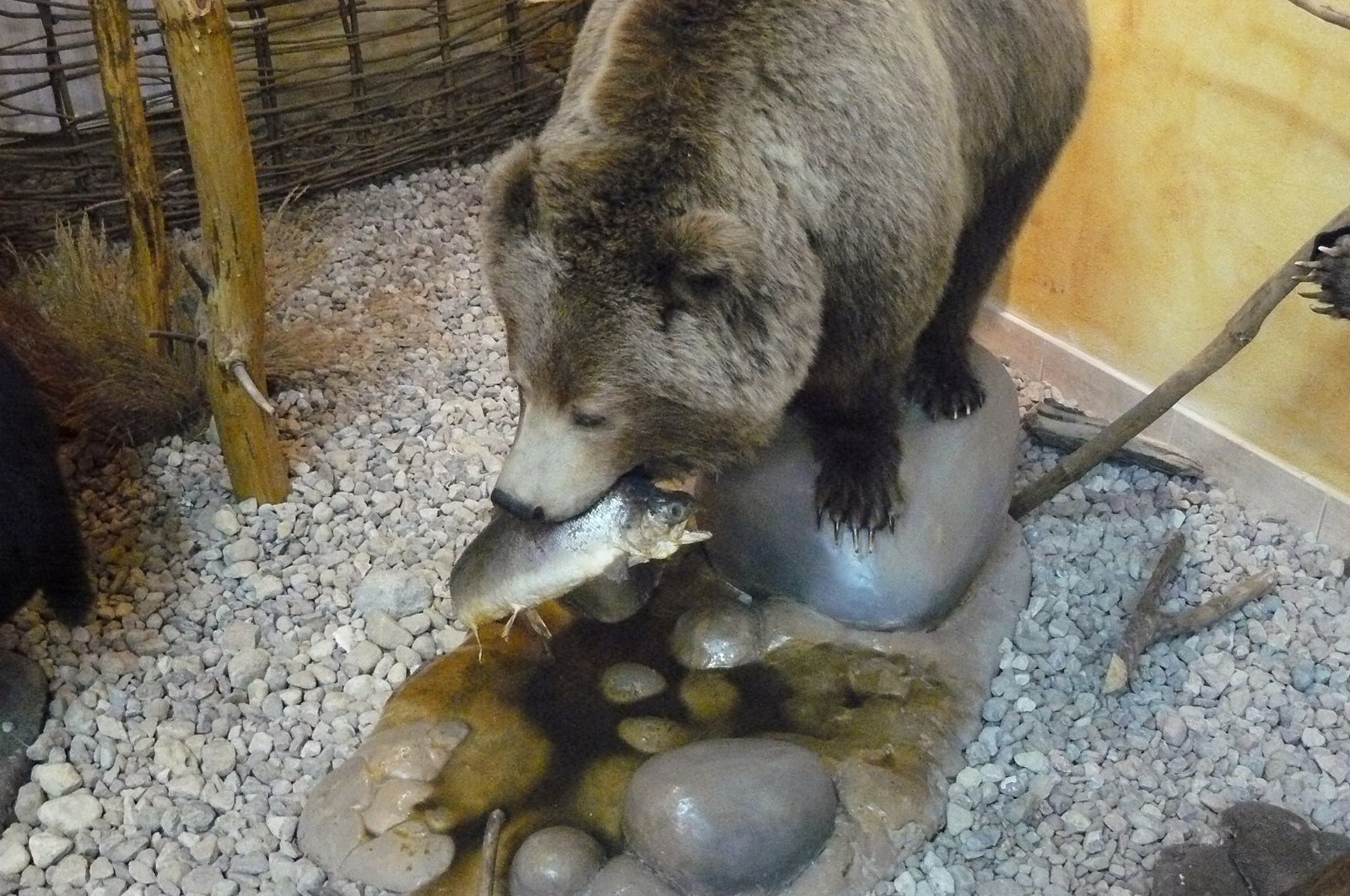 Museum of Natural Environment and Hunting