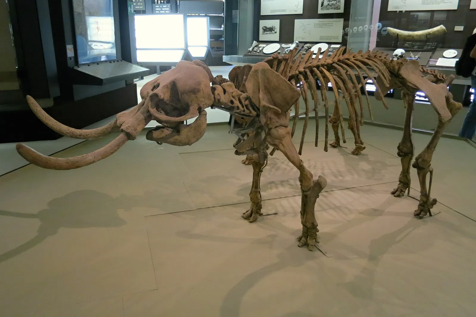 Museo Arqueológico Regional de Siracusa