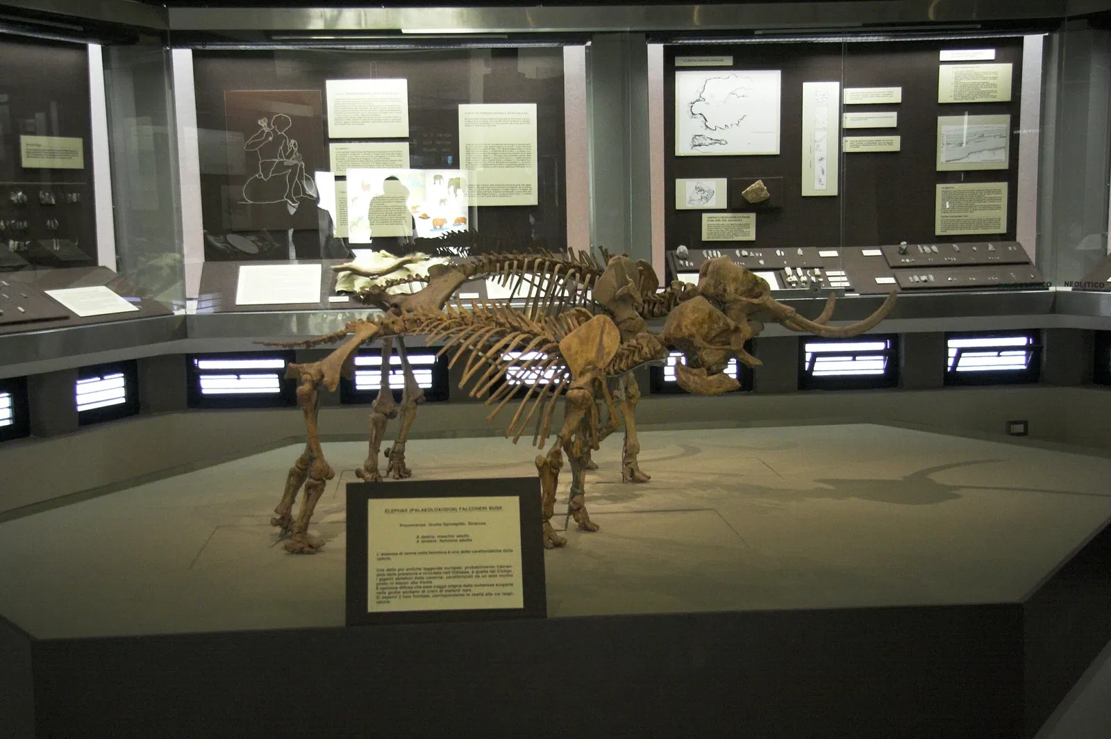 Museo Arqueológico Regional de Siracusa