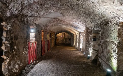 Roman Granary Museum