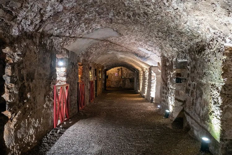 Roman Granary Museum