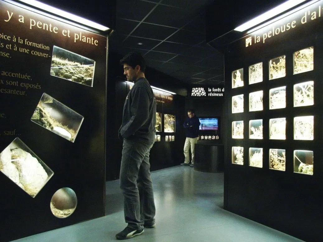 The Mountain Observatory