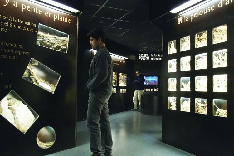 The Mountain Observatory