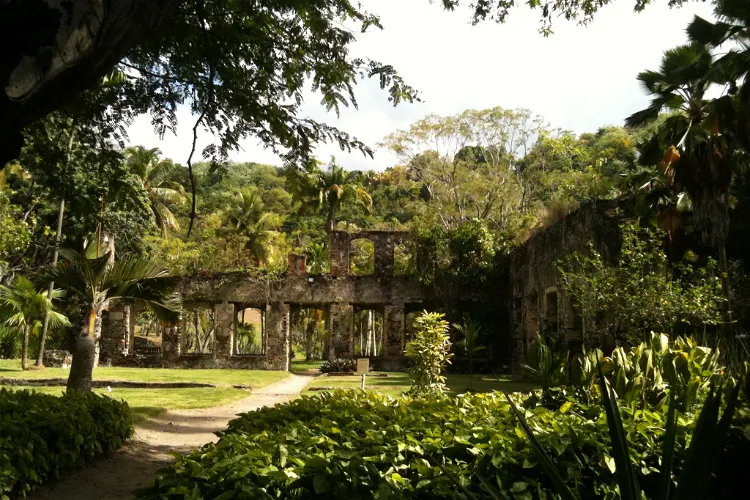 Habitation Anse Latouche