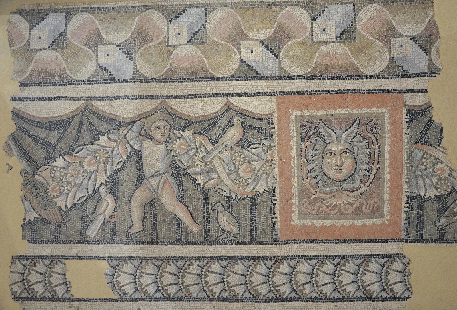 Museo della città di Rimini