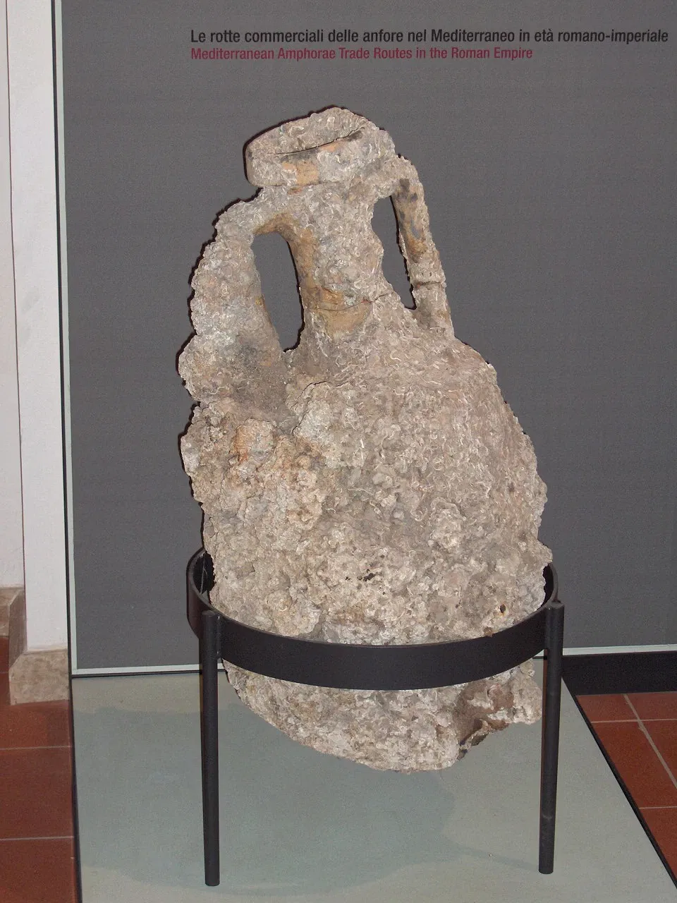 Museo della città di Rimini