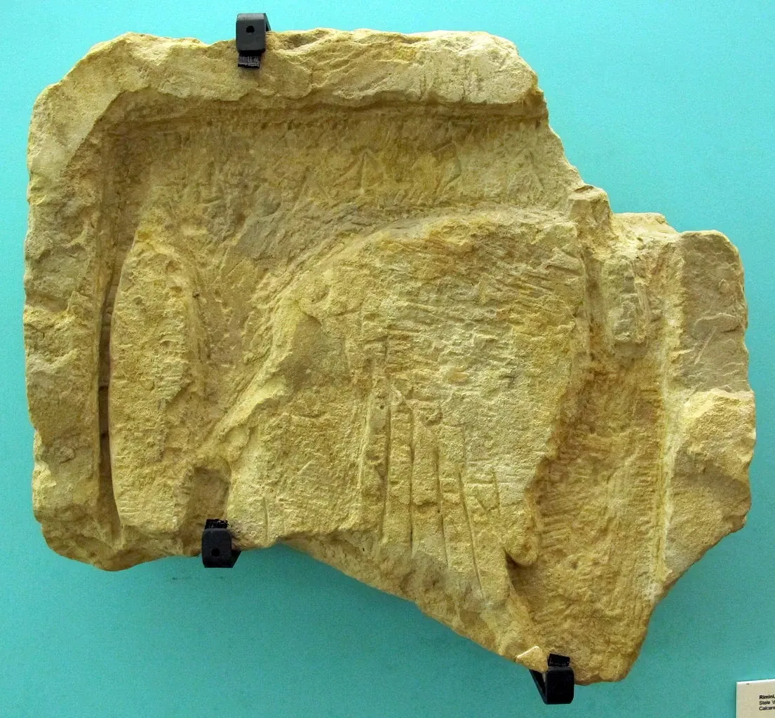 Museo della Città „Luigi Tonini“