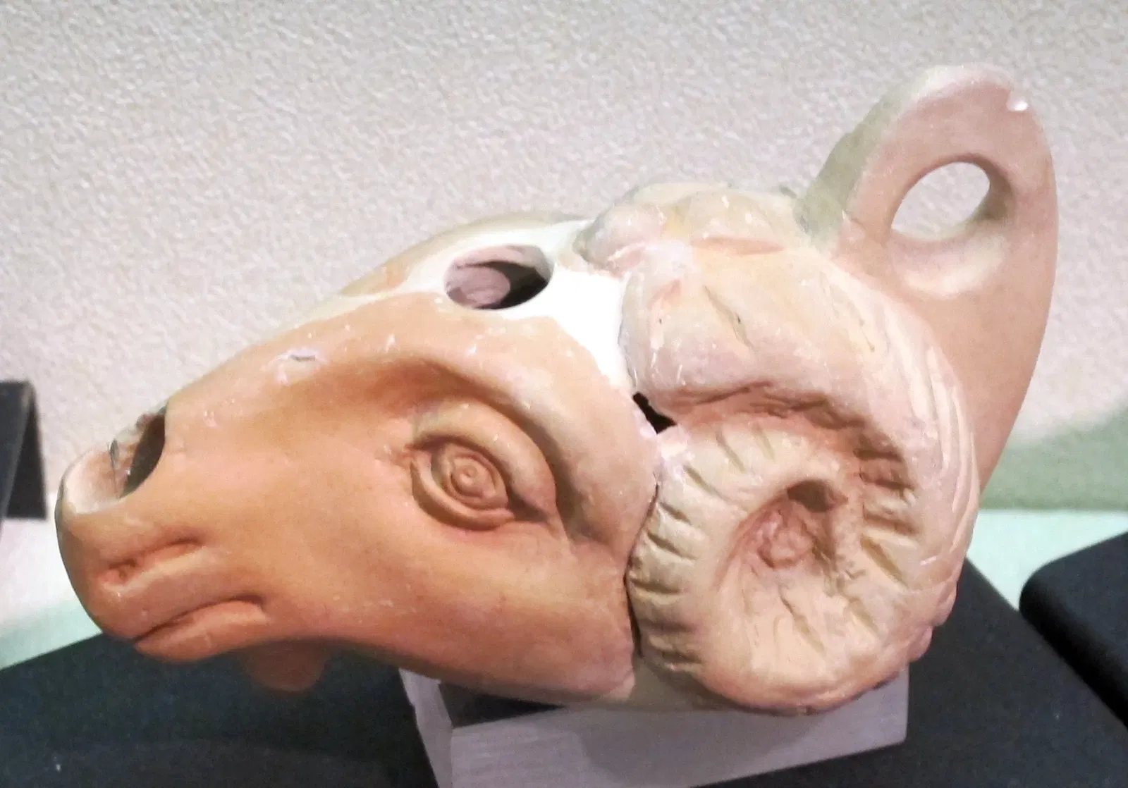 Museo della Città „Luigi Tonini“