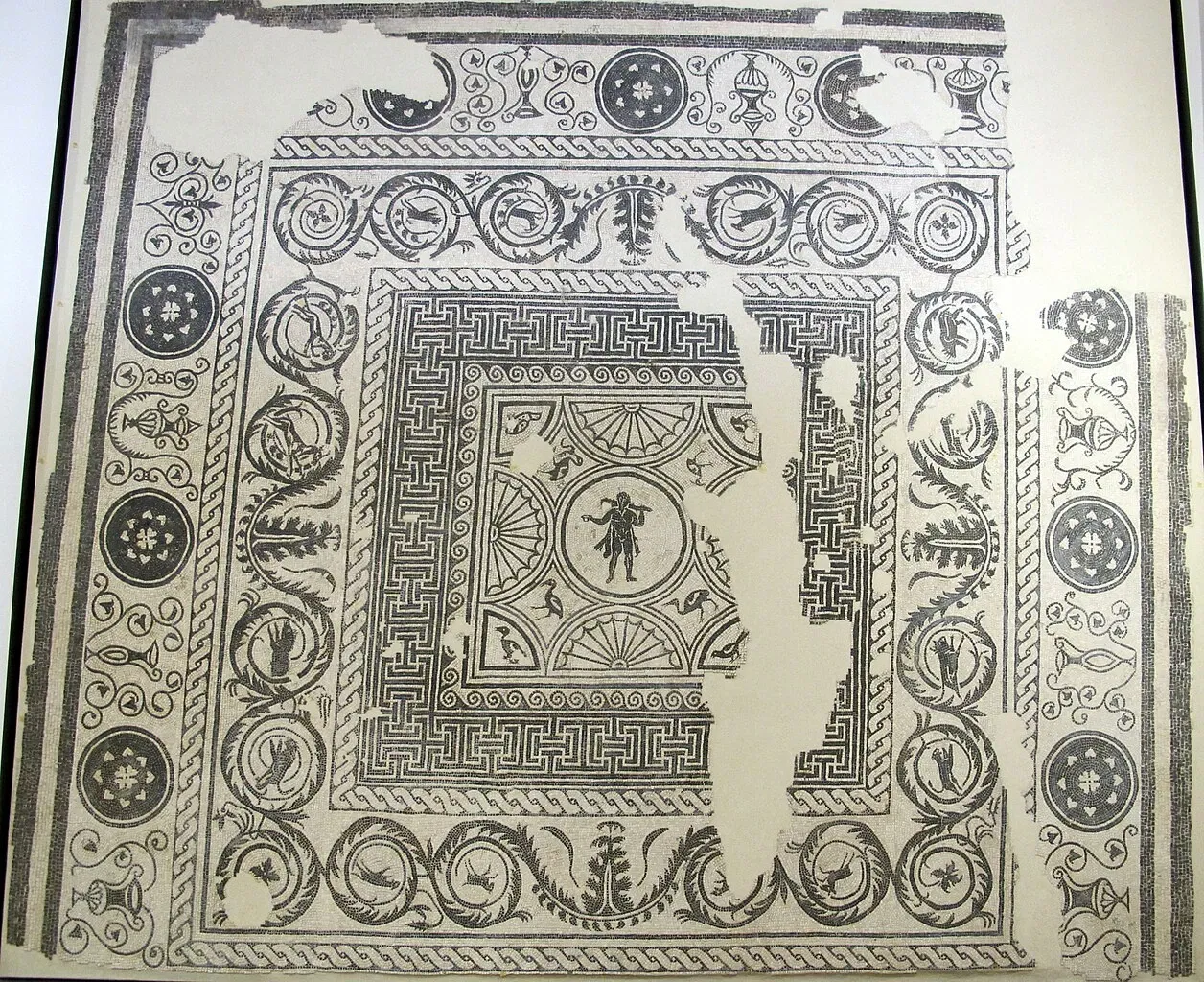 Museo della città di Rimini