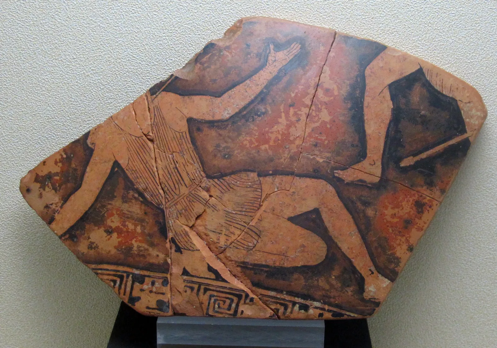 Museo della città di Rimini