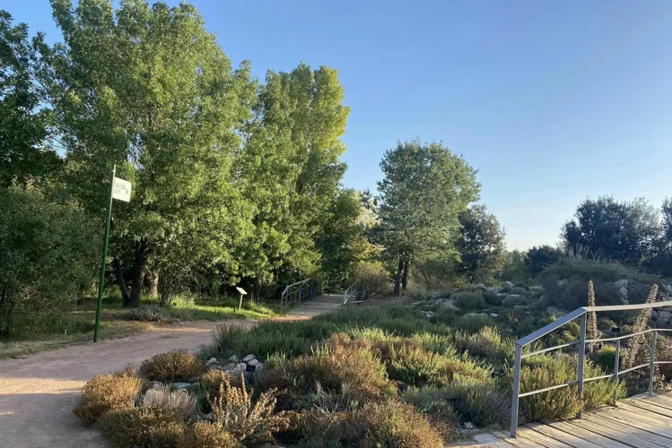 Botanischer Garten Castilla-La Mancha