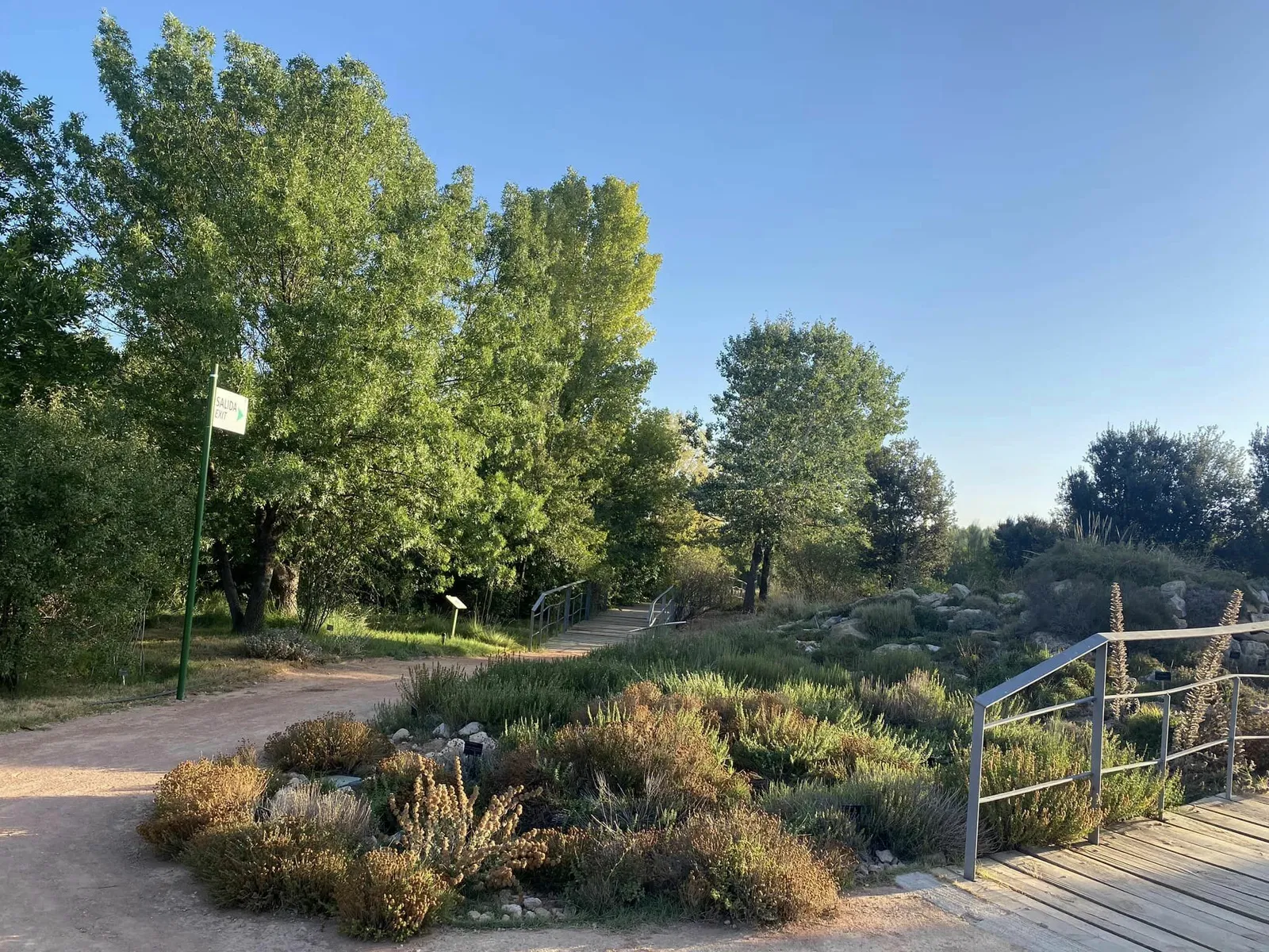 Botanic Garden of Castilla-La Mancha (Albacete) - Visitor Information ...
