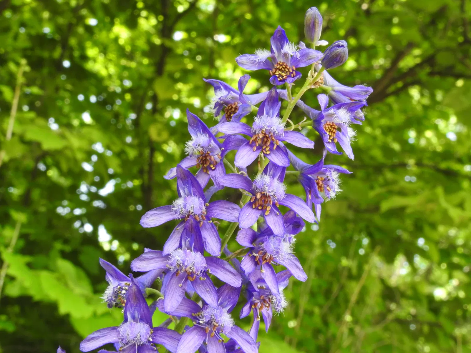 Orto Botanico di Castilla-La Mancha