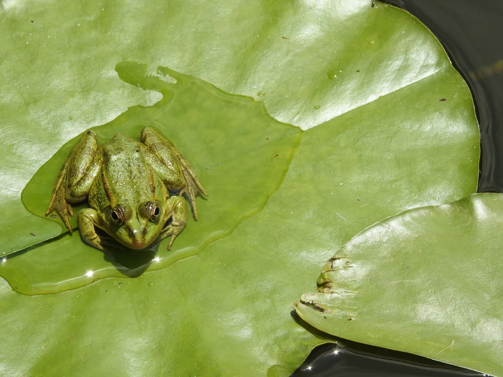 Botanic Garden of Castilla-La Mancha