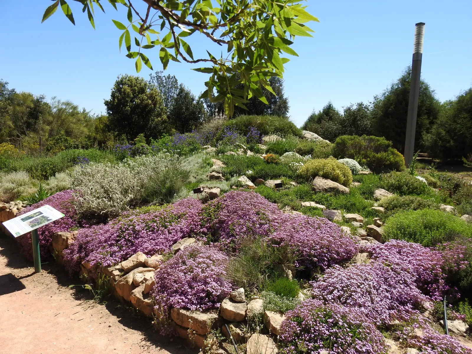 Jardin Botanique de Castilla-La Mancha