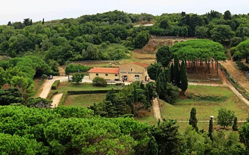 Baratti and Populonia Archaeological Park
