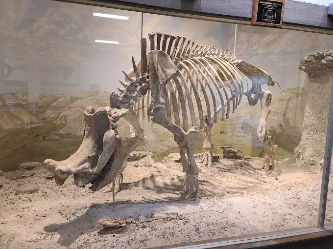 Museum of Geology @ SD Mines