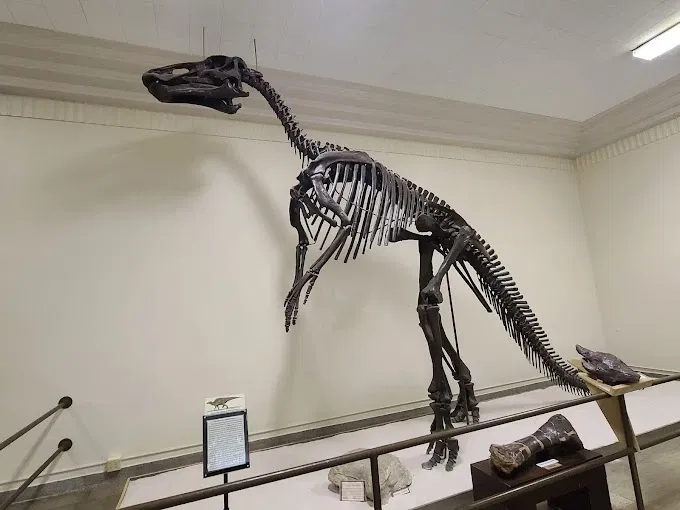 Museum of Geology @ SD Mines