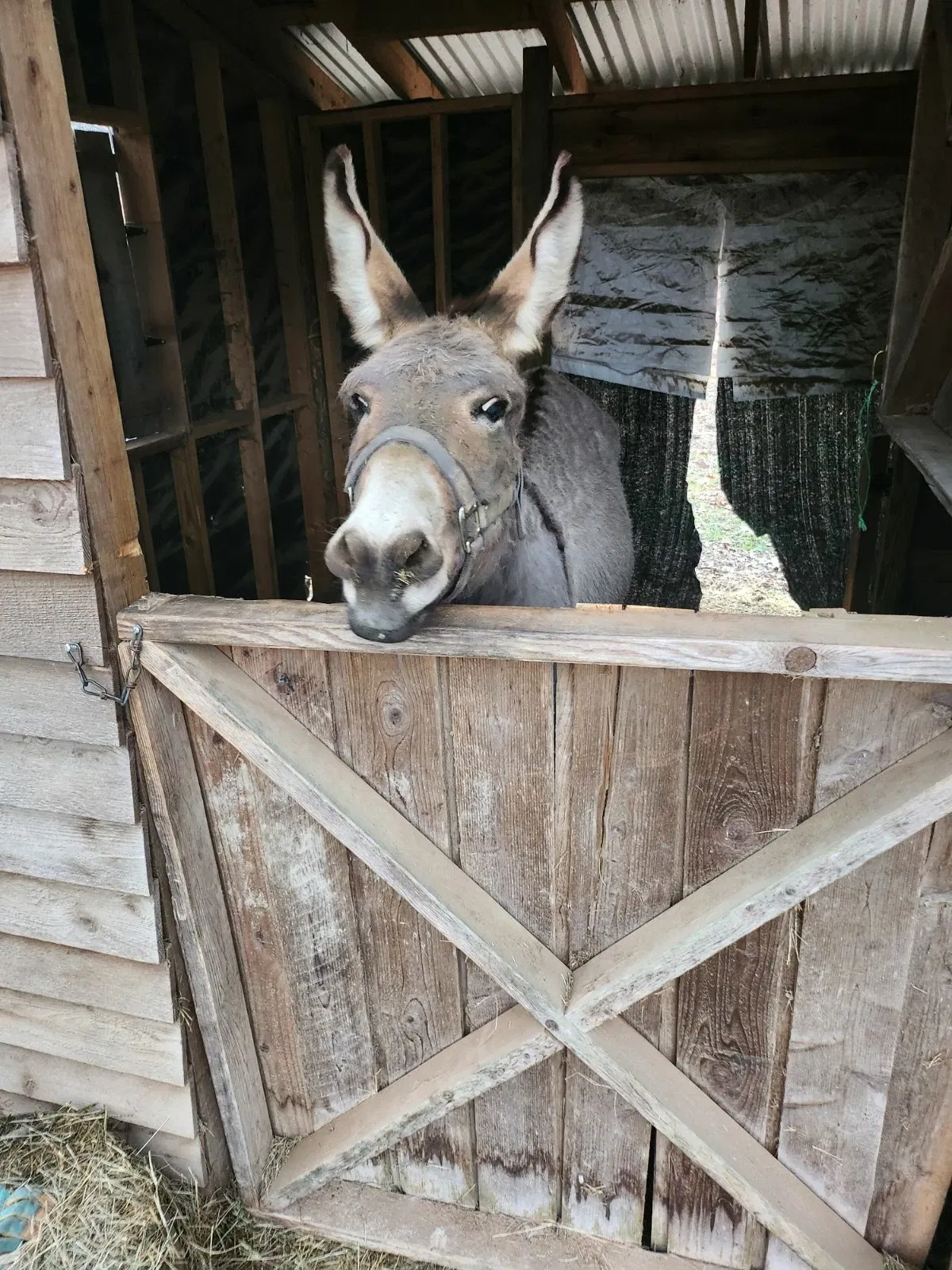 Davies Manor Historic Site
