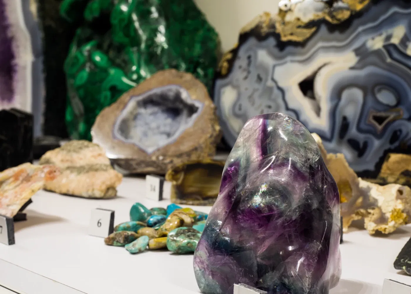 Museum of World Treasures